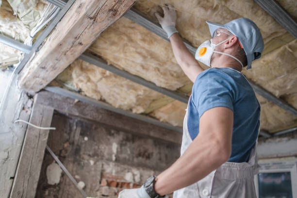 Best Specialized Insulation Services in Auburn, NE